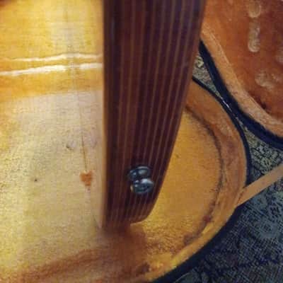 Ampeg GEB-750 BIG STUD 1973-1975 -original case RARE image 18