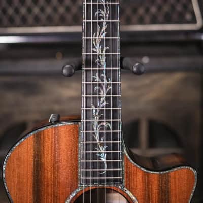 Taylor PS14ce-N Honduran Rosewood/Sinker Redwood Nylon Acoustic/Electric Guitar with Hardshell Case image 5