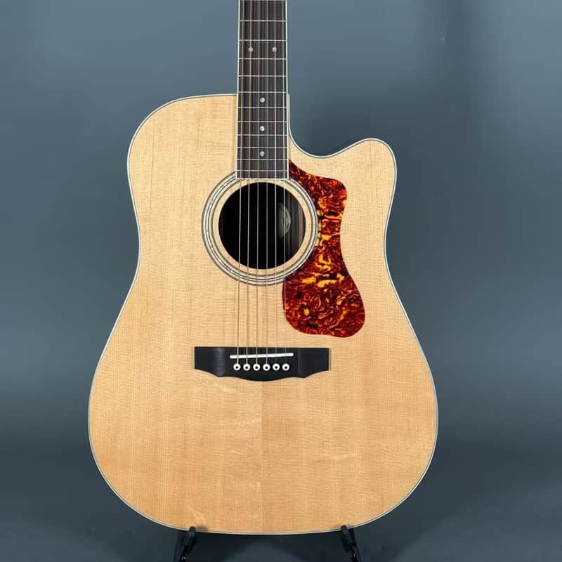 Guild D-260CE Deluxe Fishman PU Tonabnehmer & Cutaway image 1