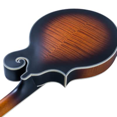 Washburn M3SEBRK F-Style Acoustic Electric Mandolin with Gig Bag. Bourbon Burst image 6