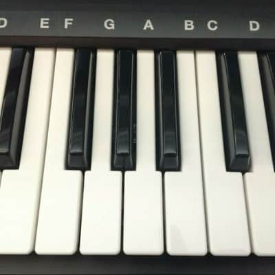 ROLAND VIMA RK-100 KEYBOARD, Karaokefunktion, einfache Bedienung, toller Sound! image 3