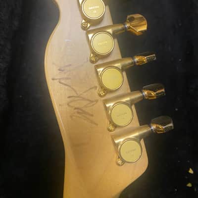 Fender TLR-145 RK Richie Kotzen Signature Telecaster MIJ 2001 - 2008 - Brown Sunburst imagen 14