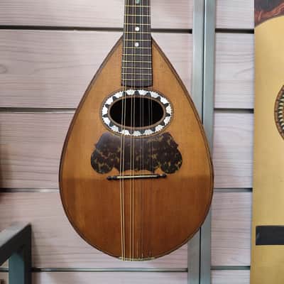Calace Mandolino Napoletano 1894 image 1