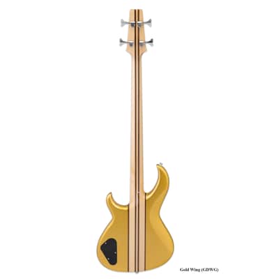 Aria SB-700-GDWG Pro II Ash Body Cutaway Maple/Walnut 7ply Neck 4-String Gold Wing Bass Guitar image 2