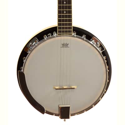 Ibanez B-50 Banjo 2022 - Natural Gloss Finish image 2