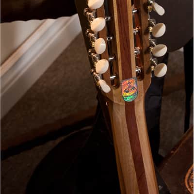 12-String Turkish Cumbus Deluxe w/ Soft Case image 8