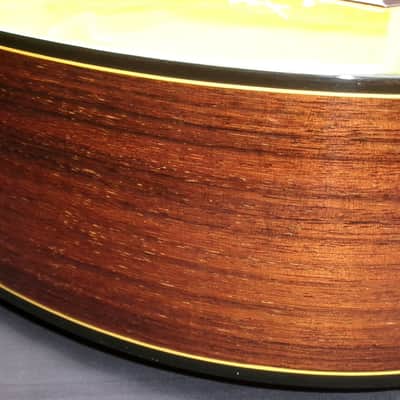 Yairi YC-50E Electric Classical Guitar+Original Yairi Hard Case FREE image 19