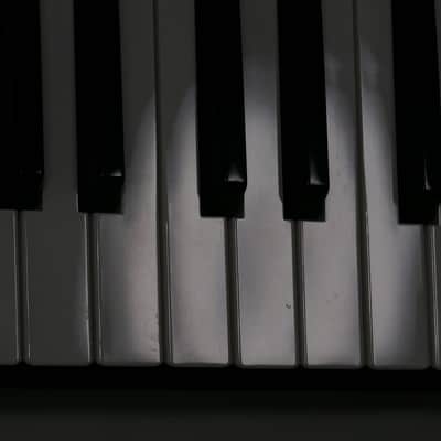 Roland FANTOM-07 + Softcase image 20