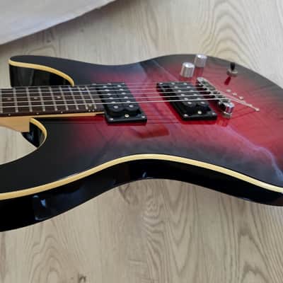 Washburn RX22, 2010, Flame Wine Sunburst, VG++ image 6