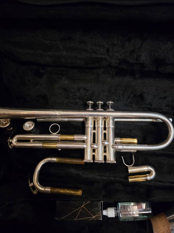 Blessing Trumpet Mid 2010s image 1