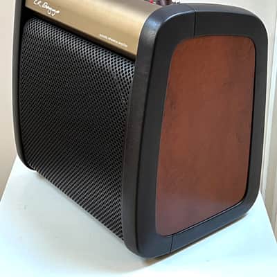LR Baggs A-REF Acoustic Reference Amplifier image 6