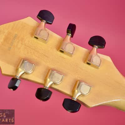 Vintage 1984 Fender D'Aquisto Elite Archtop 1st year example in very rare Blonde! image 18