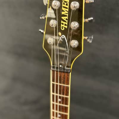 Hamer USA Newport - 2000 - Vintage Natural w/OHSC image 6