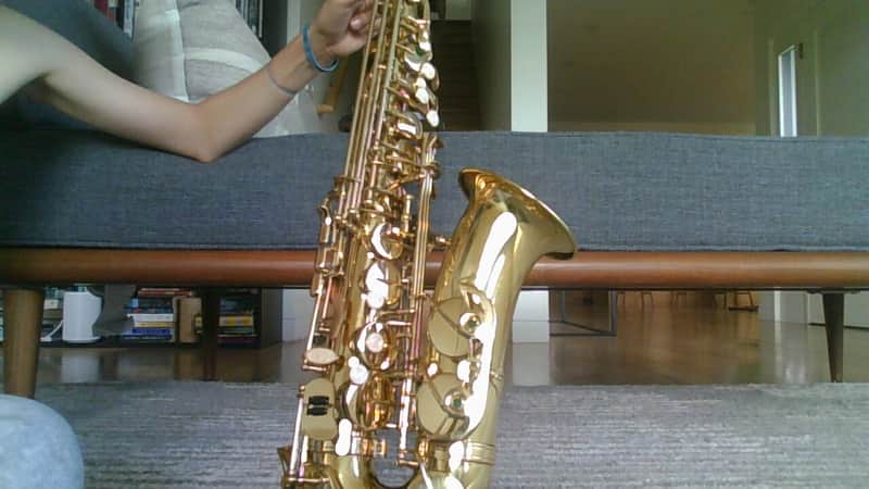 Saxophone with case, cleaning kit, and mouthpiece. image 1