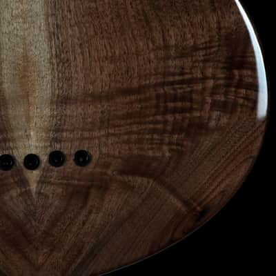 Renaissance Bass RB5 2015 image 16