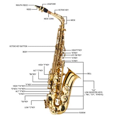 Cxxss Alto Drop E Paint Gold Saxophone Paint - Gold image 12