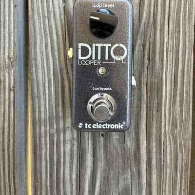 TC Electronic Ditto Looper 2013 - Present - Black electric guitar looper sampler effect pedal image 2