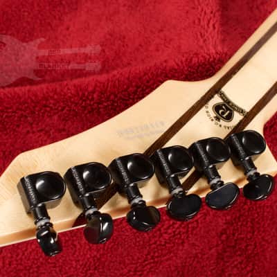 B.C. Rich Shredzilla Prophecy Archtop with Floyd Rose Spalted Maple image 10