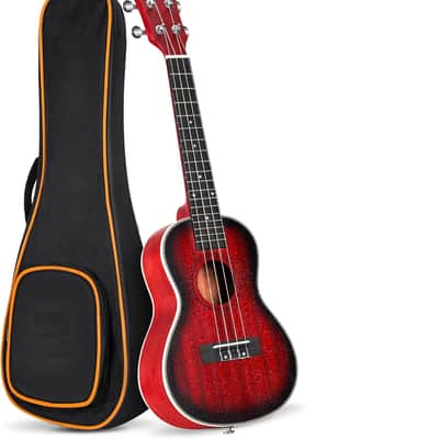 Ukulele for Beginners, 23 Inch Ukulele Kit Mahogany Bundle Concert Ukulele Professional Starter Uke Kit with Gig Bag, Red image 1