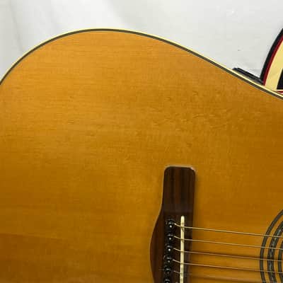 Samick Greg Bennett Design D-6CE Dreadnought Acoustic Electric Guitar image 4
