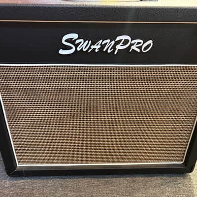 Pre-owned SwanPro RCS20 Custom 1x12 Combo image 1