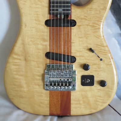 Alembic Employee Neck Through Shopnight Strat image 2