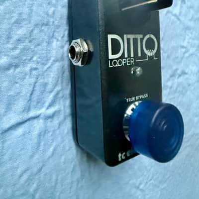 TC Electronic Ditto Looper Guitar Effects Pedal | True Bypass | Blue Footswitch Topper image 2
