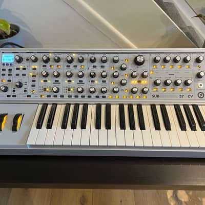 Moog Subsequent 37 CV Paraphonic Analog Synth 2010s - Gray