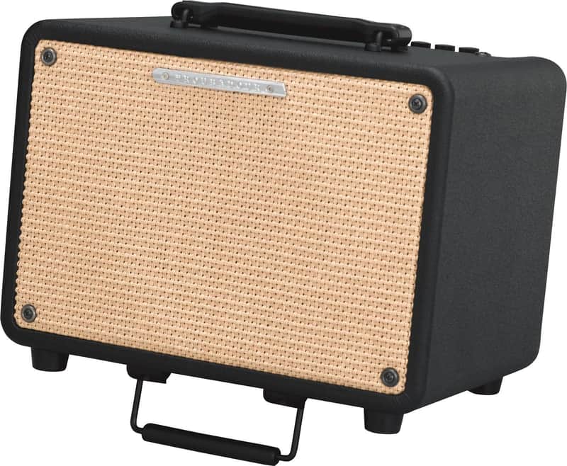 Ibanez T30 30W Acoustic Amp image 1