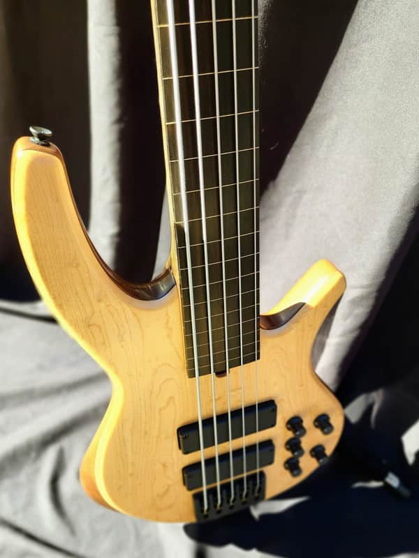 Overwater Progress Series IV Custom 5 String Fretless image 1