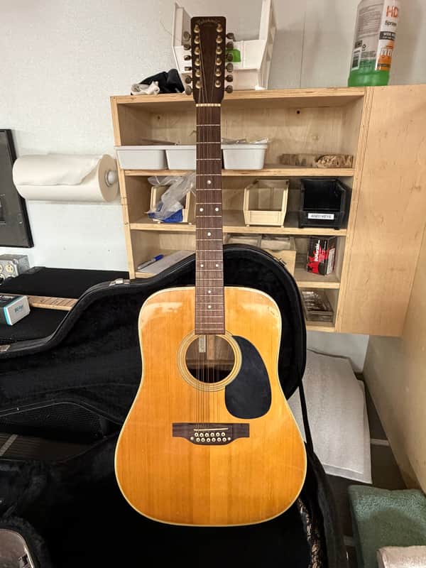 Takamine F-400 12 string acoustic guitar image 1