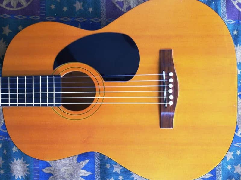 Thomas Pacconi Classical Guitar image 1