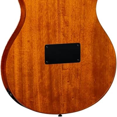 Ortega RTPDLX-FMA Acoustic/Electric Classical Guitar image 4