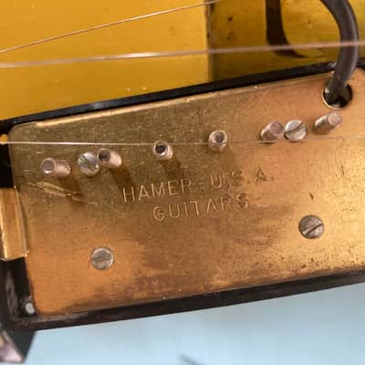 Hamer Vector 1981 Yellow V OHSC Tags image 20
