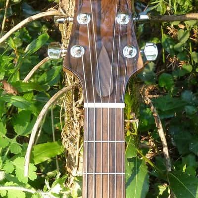 Le Matou Double Cut 2020 Blue Burst image 3