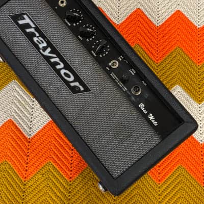 Traynor Bass Mate - 1970’s Made in Canada 🇨🇦! - The Sparkliest and Most Beautiful Traynor! - image 4