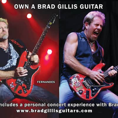 V1 Floyd Rose Saddles Approved  Replacement Set, Camel Hump  Non Fine Tuner Set used by Brad Gillis image 8