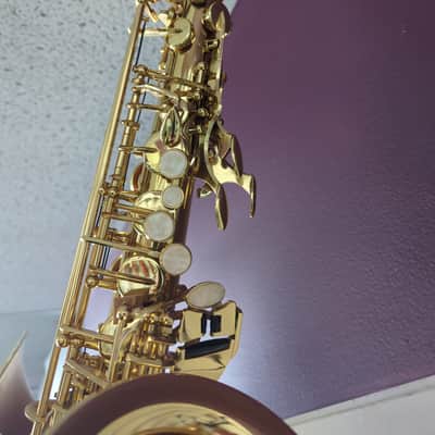 Apollo Alto Saxophone 2025 - Brass image 4