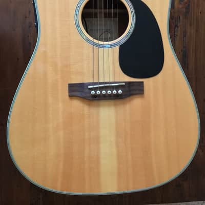 Takamine EG530SSC image 1