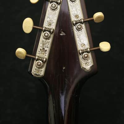Herrnsdorf Electric 1960's Sparkling image 6