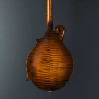 Northfield NFS-F5 Mandolin, Recent image 5