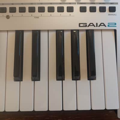 Roland Gaia 2 37-Key 22-Voice Synthesizer 2023 - Present - Silver image 13