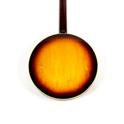 Gibson Banjo Owned by Brian Setzer image 9