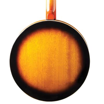 Washburn B10 5-String Banjo image 3