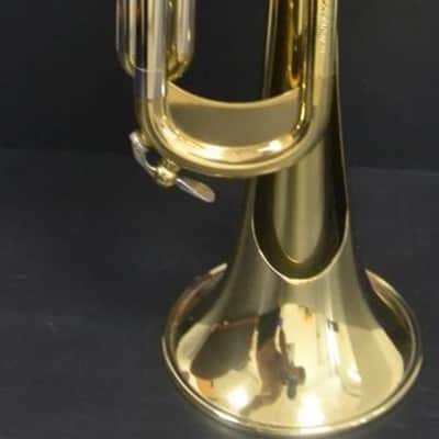Courtois Evolution III - Lacado image 17