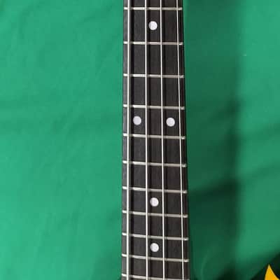 Aria Pro II Bass ZZB Deluxe Tiger Zebra Stripe image 10