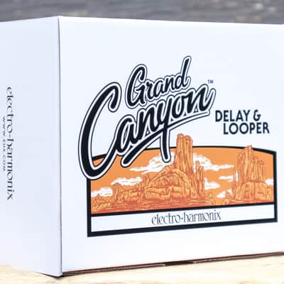 Electro-Harmonix Grand Canyon Delay & Looper 12-Effect Types Guitar Effect Pedal image 10