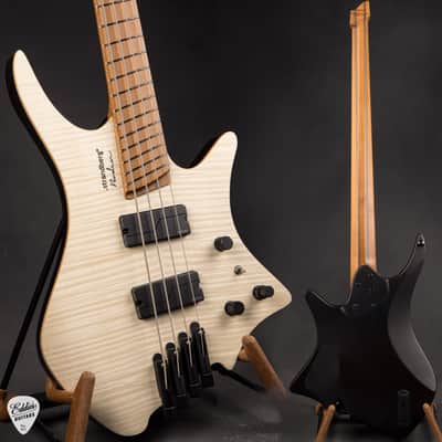 Valiant Guitars TNT Bass-4 Wild Flowers | Reverb