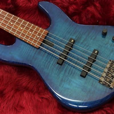 Fodera NYC Empire5 Graphite neck Lanepoor PU 4.82kg image 1