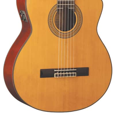 Washburn C64SCE Solid Spruce Top Mahogany Neck 6-String Classical Acoustic-Electric Guitar image 2